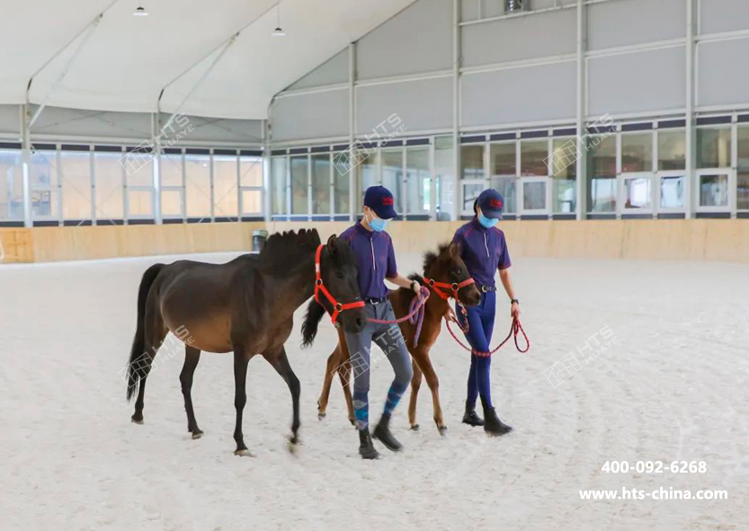 1765939345614554.jpg 1765939345614554.jpg